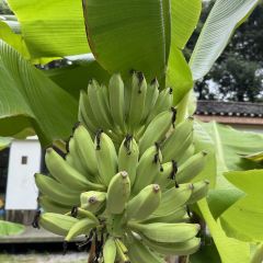 山里·落日小院·亲子营地·烤肉(云篆山店) 여행 사진