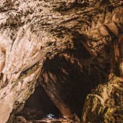 盘州·东湖里·假日酒店(东湖公园银杏广场店)·四季三食 User Photo