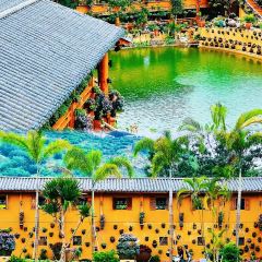 芋見張宜花園（鹽邊預告店）張用戶圖片