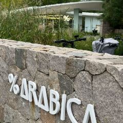 老四季(帅府店) User Photo