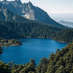 老号凉粉胖哥串串 User Photo