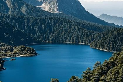 老号凉粉胖哥串串