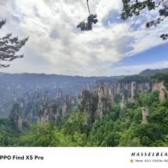 老王三下锅 User Photo