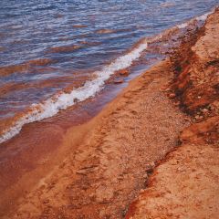 Torch Coffee 炬点咖啡 User Photo