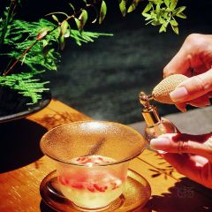 牡丹园·灵岩山房 User Photo