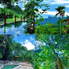 五指山亚泰雨林酒店·中餐厅 User Photo