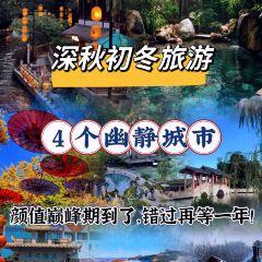 老炳·七丛松甘草水果 User Photo