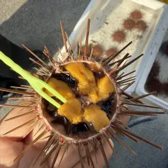 RI YUE SHENG YU JIA CAI User Photo