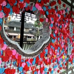 大冰的小屋(西塘店) User Photo