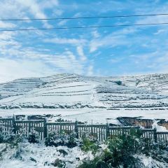 MaAnJun Lazi Niuroumian User Photo