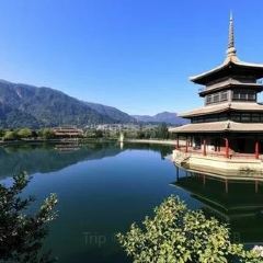 丽江飞鸟民谣酒吧(束河店) 여행 사진