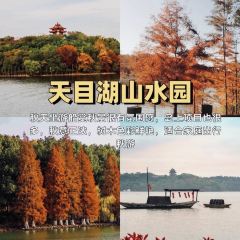 南山一品酒樓張用戶圖片