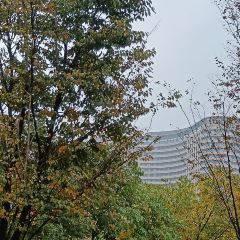 最美太湖私房菜(龙之梦太湖古镇店) User Photo