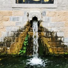 杨记灌肠(食品街店) 여행 사진