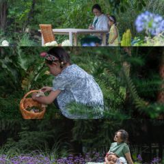 青寂溪谷半山酒店·枫见餐厅 User Photo