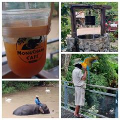 MongChang Cafe User Photo