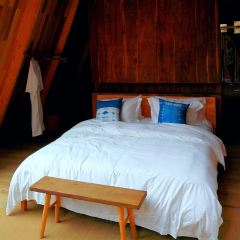 余姚树蛙部落中餐厅 User Photo