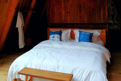 余姚树蛙部落中餐厅