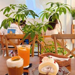 樹Cafe張用戶圖片