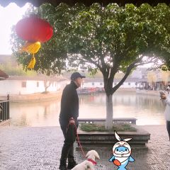 初曦饭店·河景餐厅·蚕娘家菜 User Photo