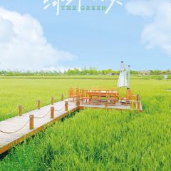 成都蓝城沐春风度假村·有稻里·稻田餐厅 User Photo