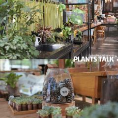 北马山庄植趣咖啡 User Photo