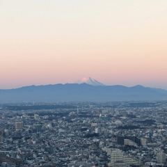 José Luis Shibuya Scramble Square張用戶圖片
