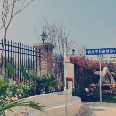 猫柠蛋糕 User Photo