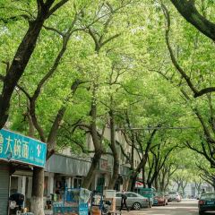 秀珍面馆·蟹面(海宁长安人民路店) User Photo