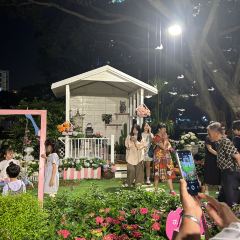 Donghuadouhua User Photo