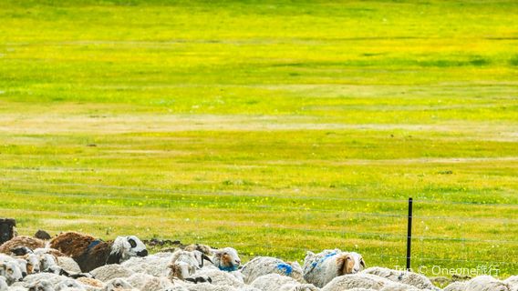 duan ya guan jing tai