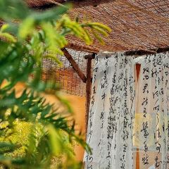后山小院 User Photo