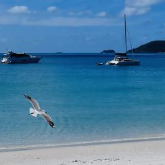 百味土菜館張用戶圖片