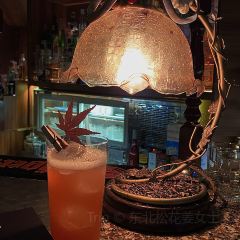 Domo Bar 여행 사진