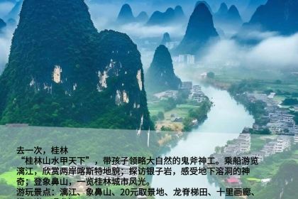 HAI JI DAO ZI ZHU CAN TING