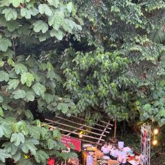 Tamarind Springs ảnh của người dùng