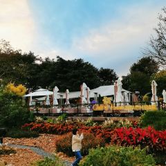 Chill House萃岚 User Photo
