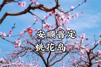 Zhou yu de yu · wan feng lin guan pu restaurant