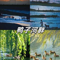 留恋人家(广汉三星堆巴蜀店) User Photo