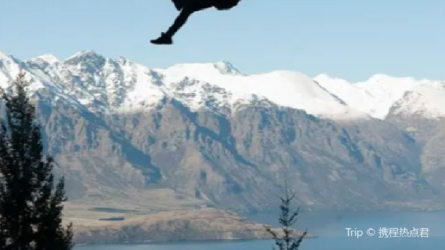 Ziptrek Treehouse – Tour Check-In