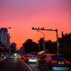 五味府海鲜餐厅·烟台菜·海肠捞饭(黄海明珠店) User Photo