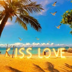 瑞丰椰子鸡 User Photo