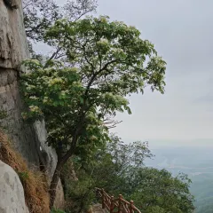 张记逍遥胡辣汤(大坑沿街店) User Photo