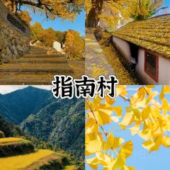 yang seafood User Photo