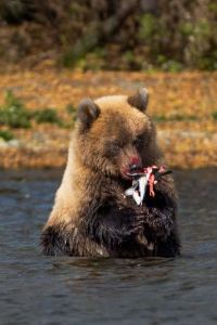 CLikeYouX GK中心大酒店優惠