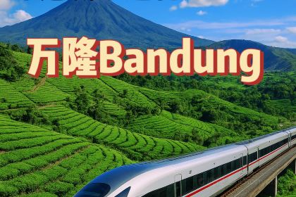 The Restaurant - Hotel Padma