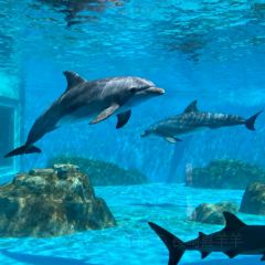 海鲜大咖(杏林西区店) User Photo