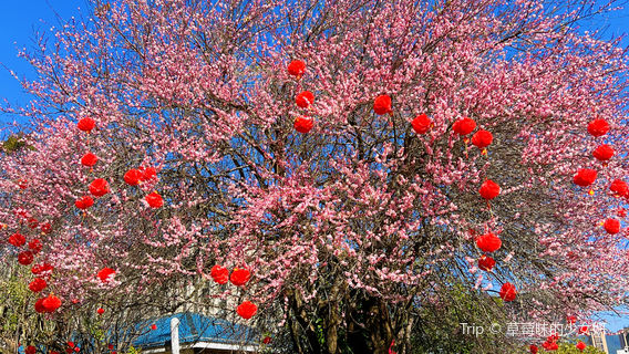 Baiyan Park