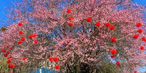 白巖公園