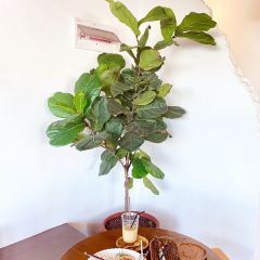 16%cafe ảnh của người dùng